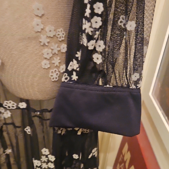 Chic Black Floral Embroidered Long Sleeve Sheer Maxi Dress - Picture 7 of 10